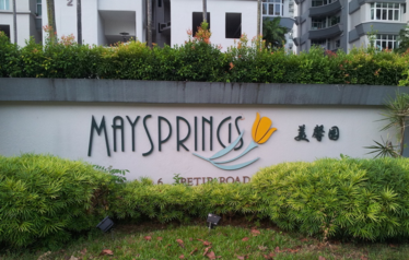 Maysprings