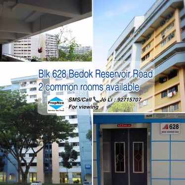 I am looking at 628 Bedok Reservoir Road's property listing, $250/mth, what do you think about this?