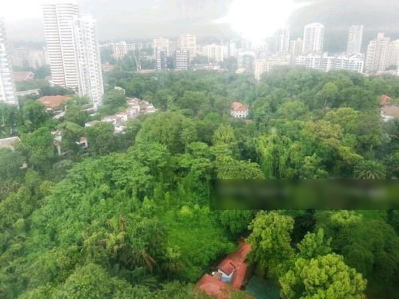 Scotts 28,28 Scotts Road,Entire unit,2 Bedrooms,Condominiums