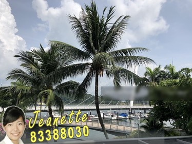 I am looking at Caribbean @ Keppel Bay's property listing, $9,800/mth, what do you think about this?