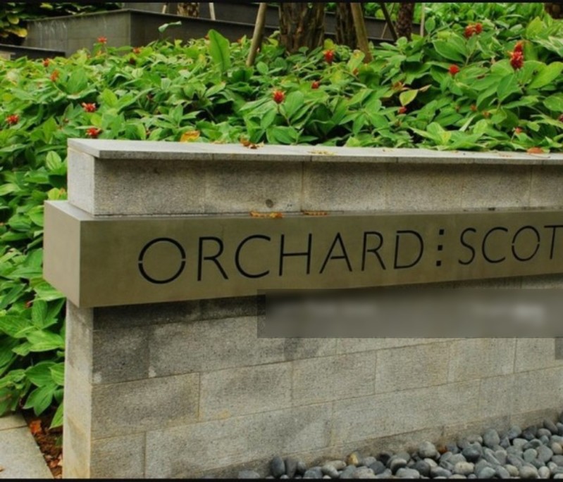 Orchard Scotts,11 Anthony Road,Entire unit,4+,Condominiums, Apartments and Executive