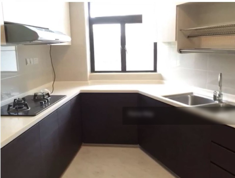 Jade Mansion,10 Leedon Road,Entire unit,4+,Condominiums, Apartments and