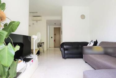 I am looking at Skies Miltonia's property listing, $2,500/mth, what do you think about this?