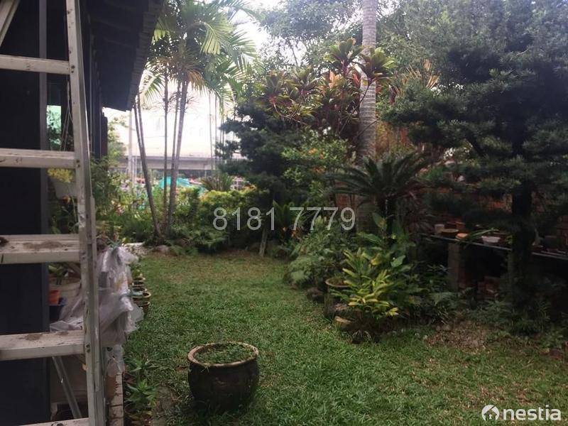 Bedok Rise,4+,6230 Sqft, Landed Houses, Terraced Houses, Detached