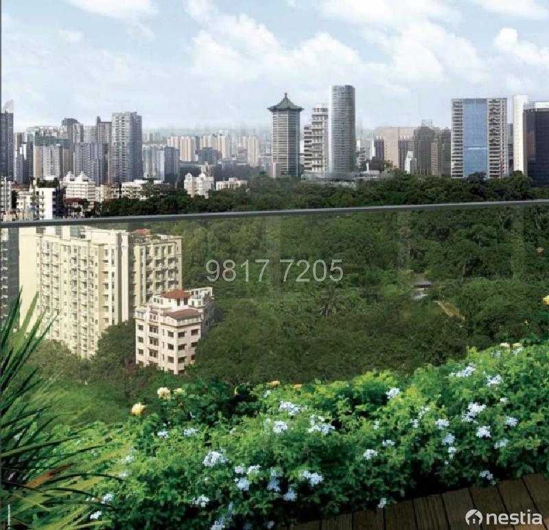 Three Balmoral 3 Balmoral Road,3,1539 Sqft, Condominiums, Apartments
