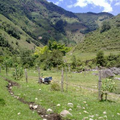 Kerensa R057658E 85879799